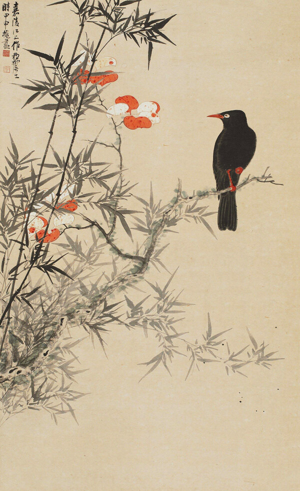 花鳥圖片