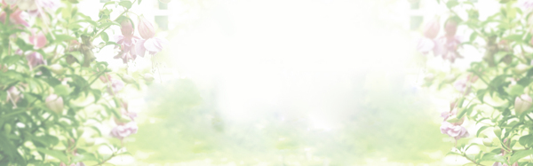 內(nèi)衣