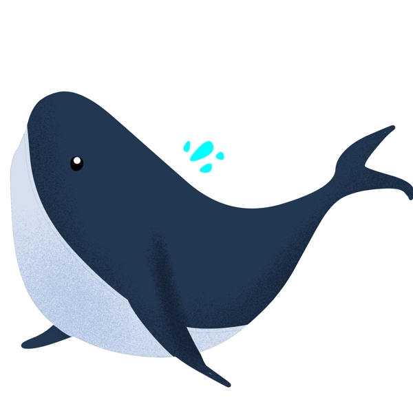 手绘扭头的鲸鱼插画