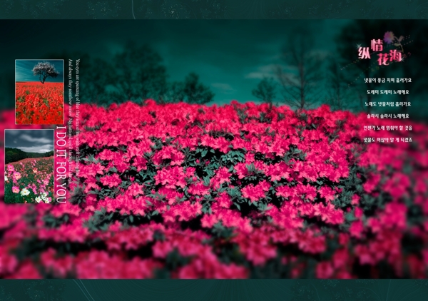花海