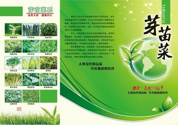芽苗菜折頁(yè)圖片