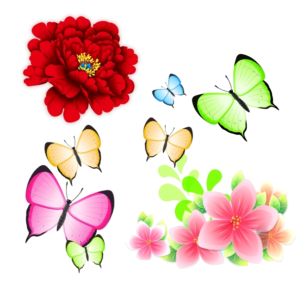 牡丹蝴蝶花朵圖片