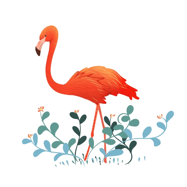 流行色珊瑚橘火烈鸟
