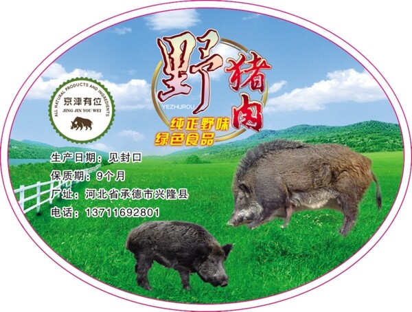 野豬