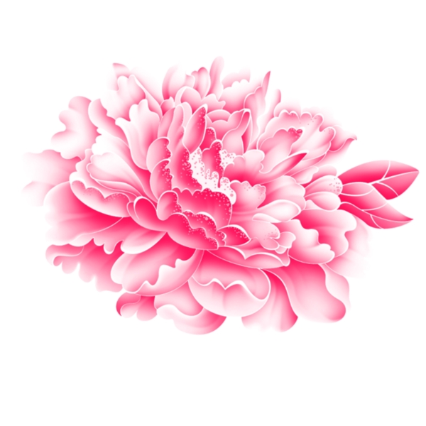 花朵PSD分層素材