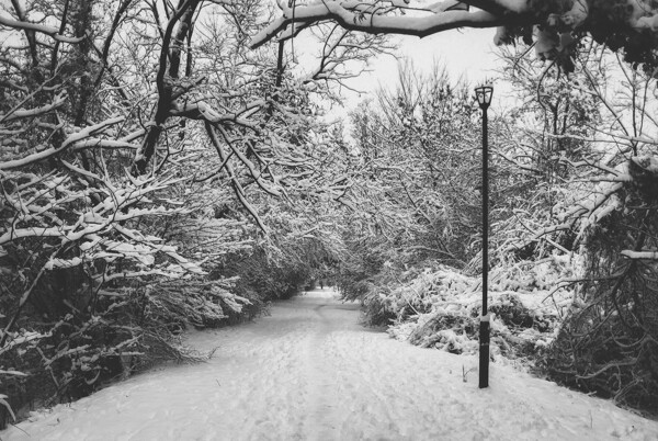 雪景圖片