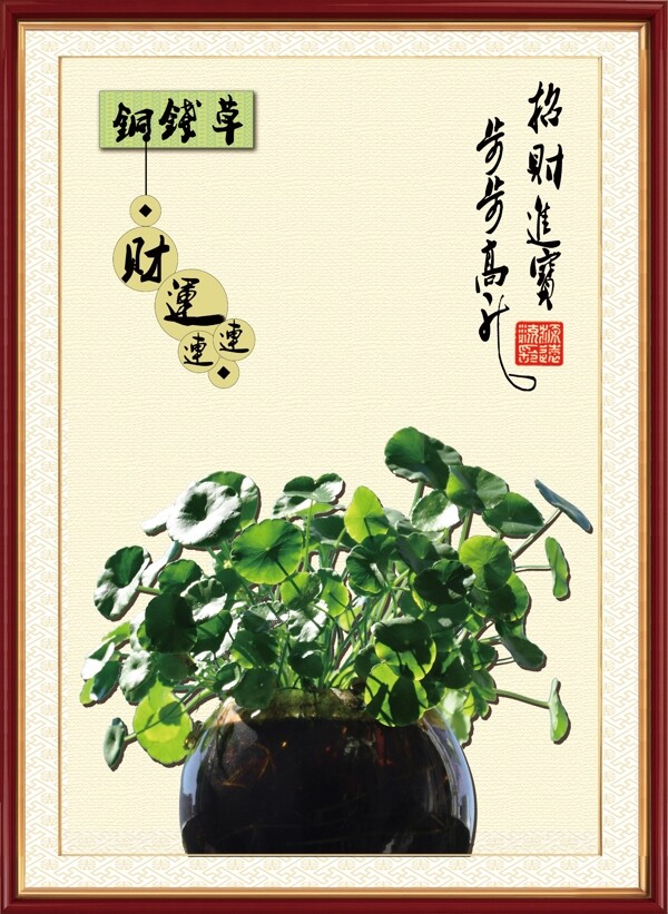 銅錢草掛畫