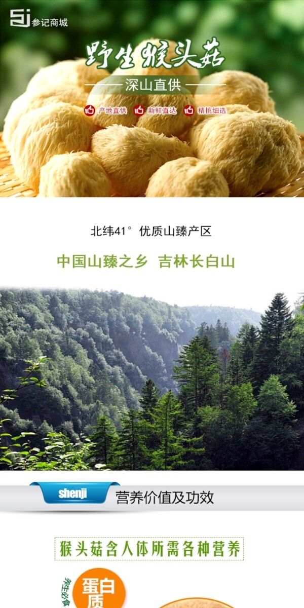 猴頭菇詳情頁