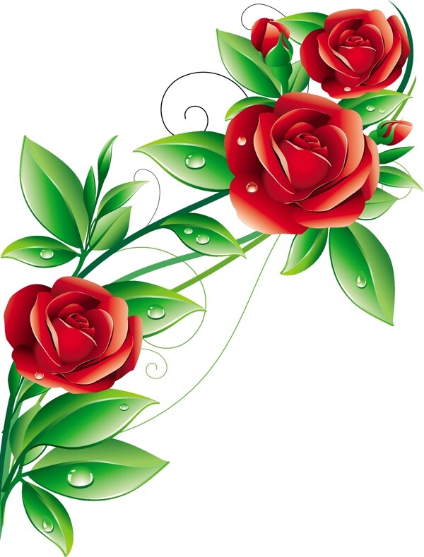 玫瑰花艺术矢量素材