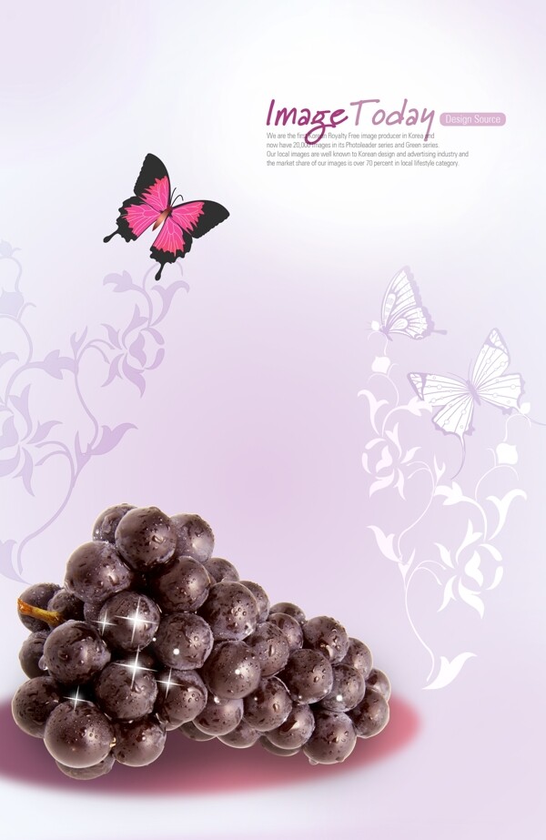 印刷级分层炫丽幻彩紫葡萄素材
