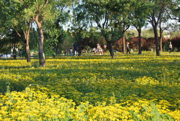 植物園的風(fēng)景