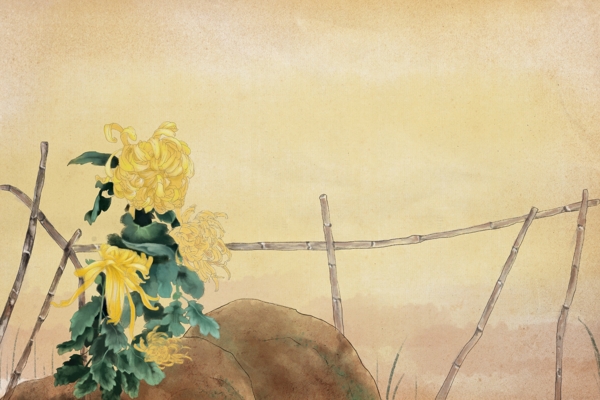 菊花篱笆传统插画背景海报素材图片