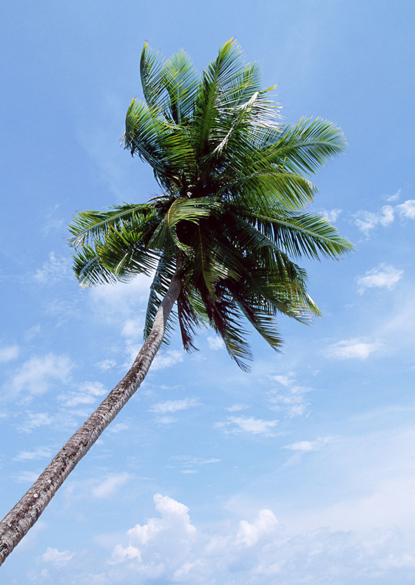 海邊風(fēng)景圖片