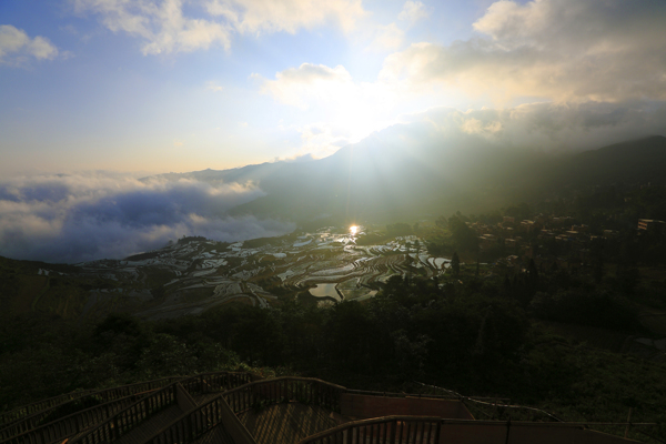 云南元陽(yáng)風(fēng)景