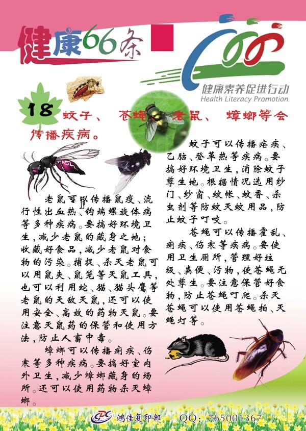 四害傳播疾病有哪些圖片