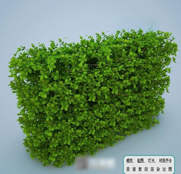 植物墙绿化生态
