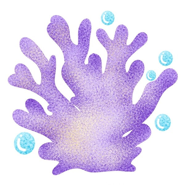海洋生物紫色动物