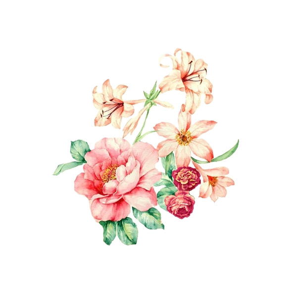 位圖psd植物花朵免費(fèi)素材