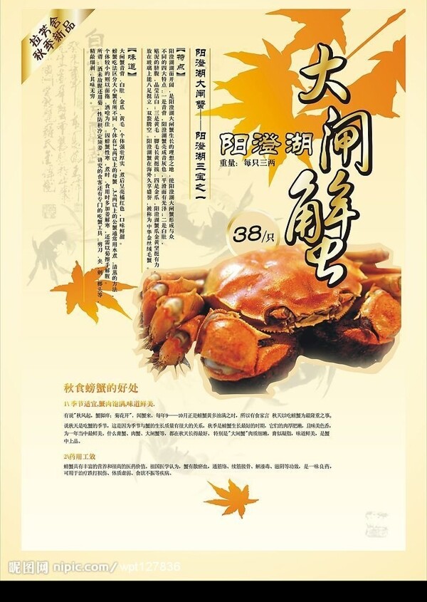 大閘蟹海報(bào)圖片