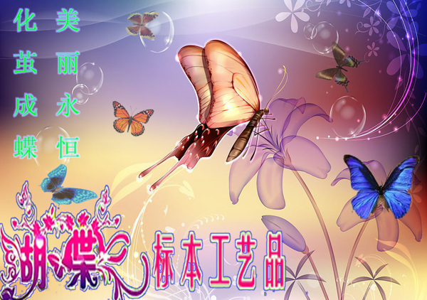 蝴蝶第二次設(shè)計(jì)作品