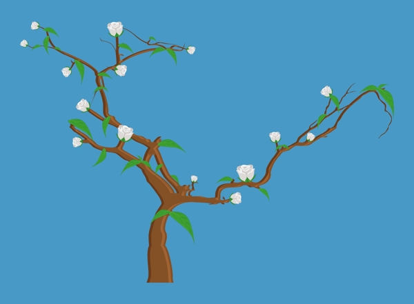 白色的花朵的树枝矢量插画