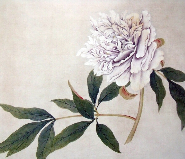 花卉叶子装饰画图片