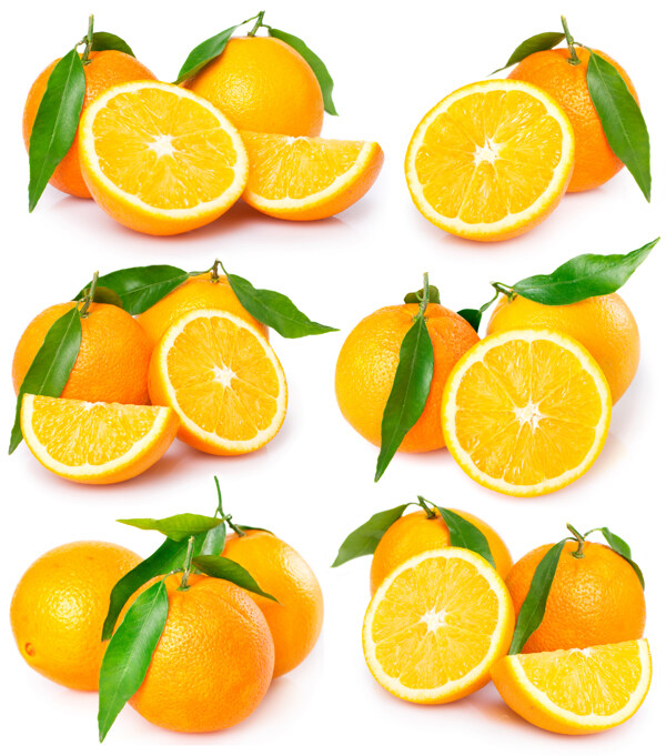 高清橙子广告素材