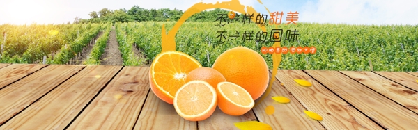 橙子海报水果宽屏海报首页banner