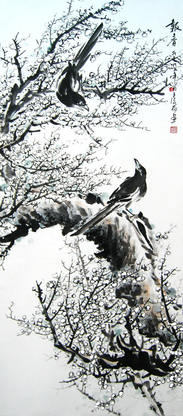 報(bào)春圖片