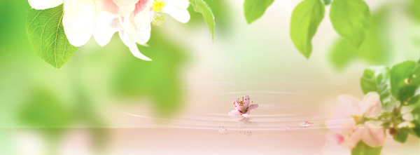 護膚品清新桃花點水唯美背景banner