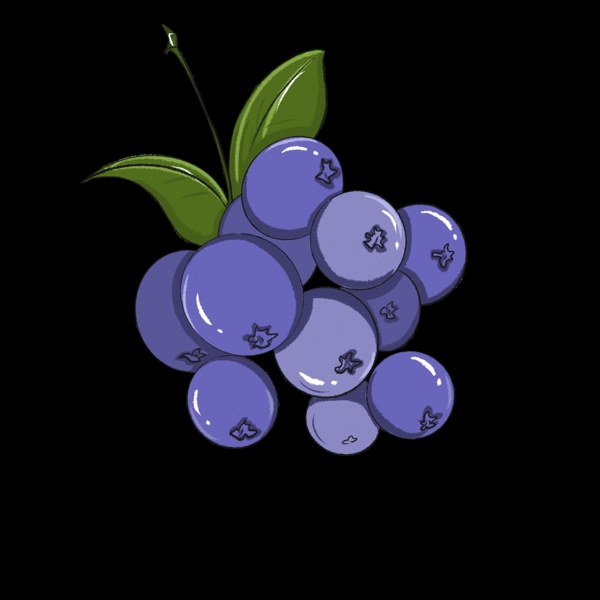 一串紫色的蓝莓
