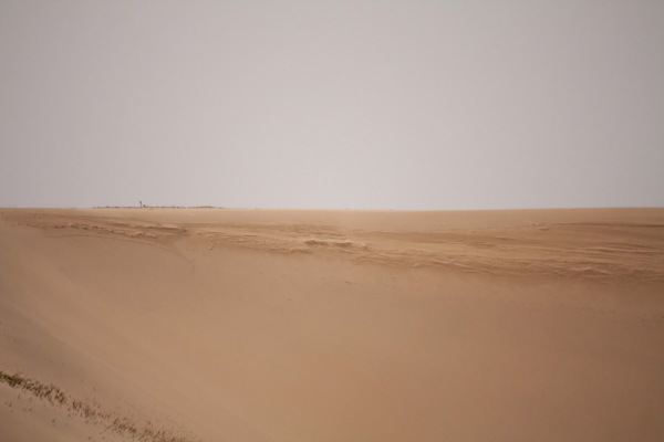 荒凉沙漠风景图片