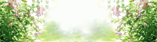清新綠色背景海報(bào)背景