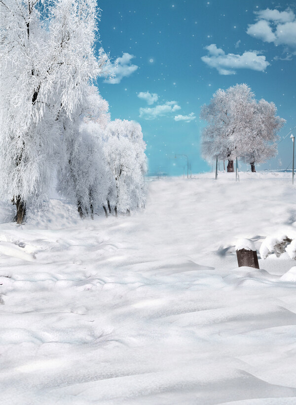 雪景