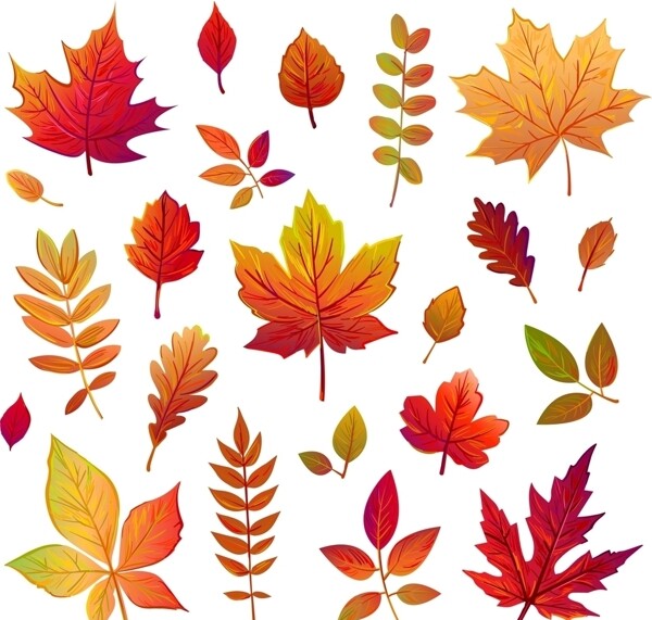 矢量秋季叶子图片