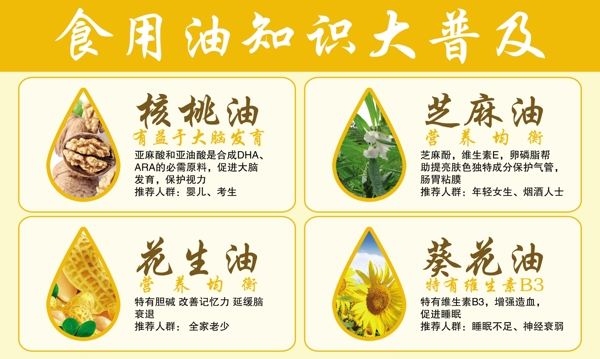 食用油簡(jiǎn)約展板