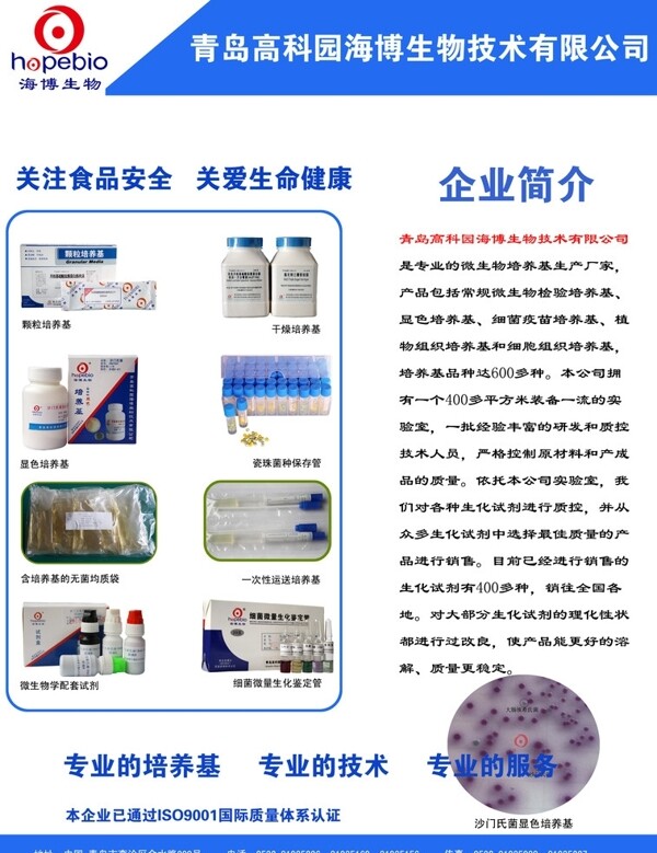 企業(yè)宣傳頁圖片