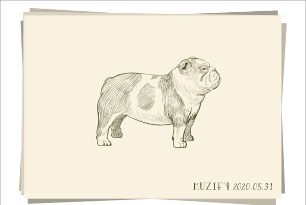 法国斗牛犬素描画