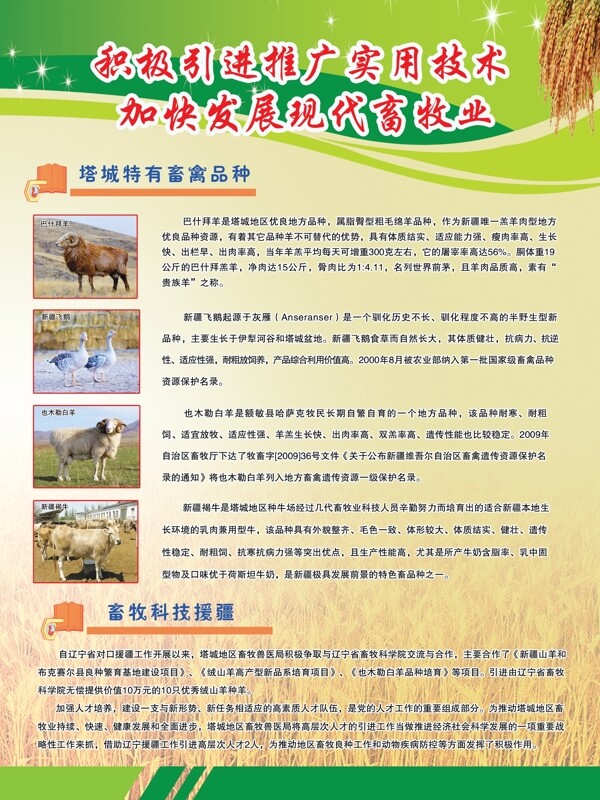 畜牧業(yè)圖片