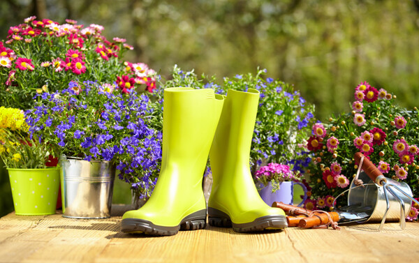 雨鞋与鲜花