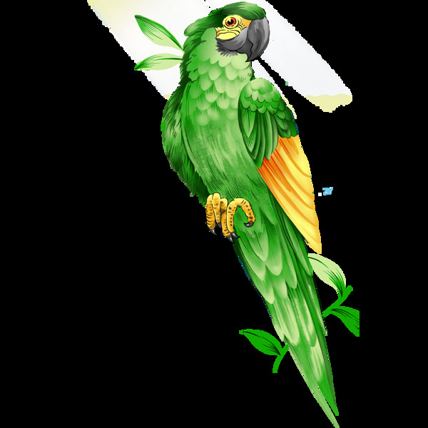 唯美绿色鸟儿绘画素材