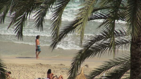 在西班牙海滩股票视频的棕榈树和波
