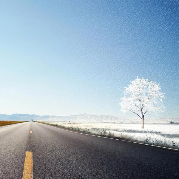 蓝天下的公路远处的雪树自然风景