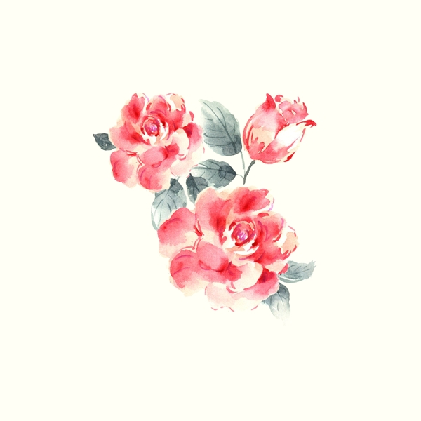 位圖psd植物花朵免費素材