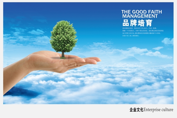 品牌培育企業(yè)文化