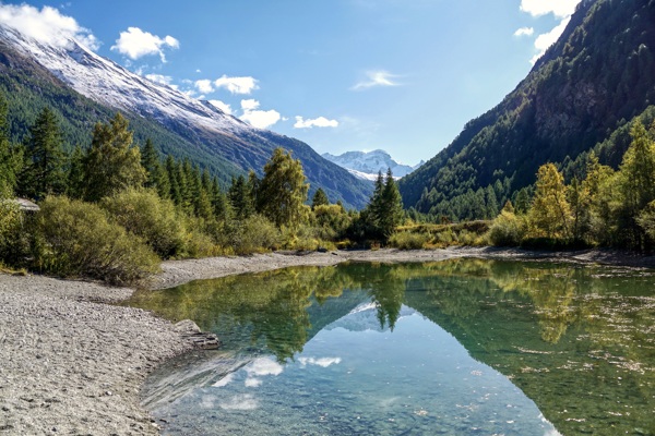 山林