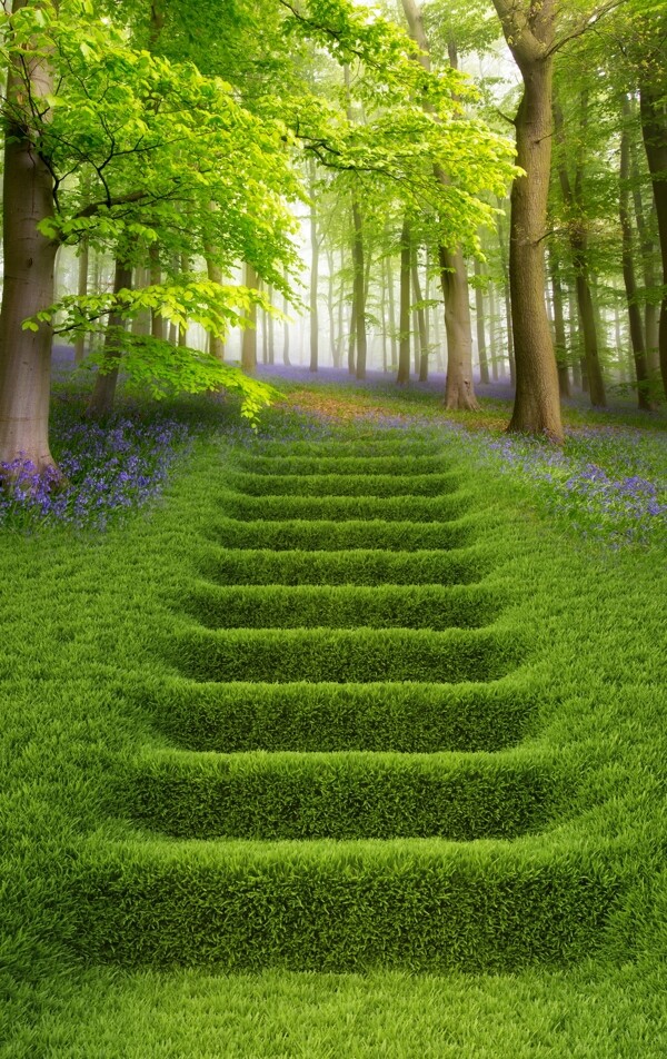 绿色清新树林草地阶梯3D玄关