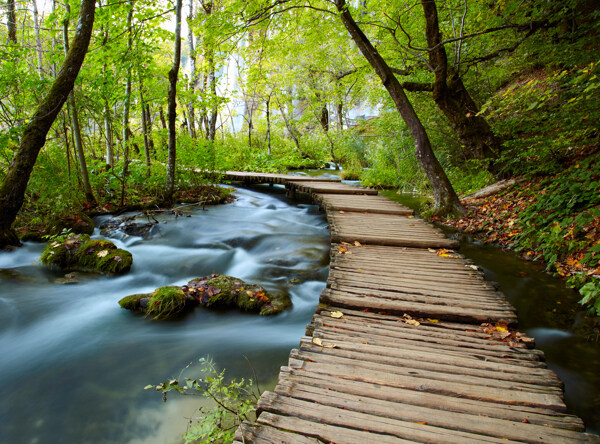 小桥流水森林图片