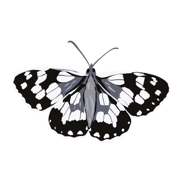蝴蝶手绘黑白色素材