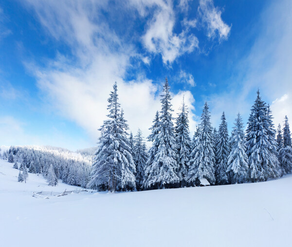 蓝天白云与雪地风景图片